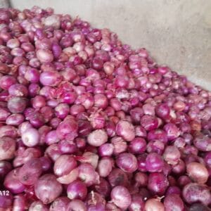 Fresh Onion – Farm Fresh & High Quality