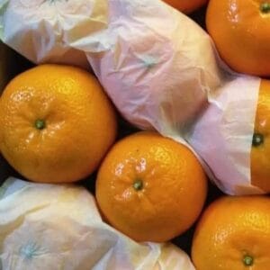 Farm-fresh Pakistani kinnow, carefully selected, packed, and exported to ensure freshness and shelf life.