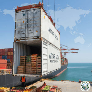 Containerized Shipping for Maximum Freshness