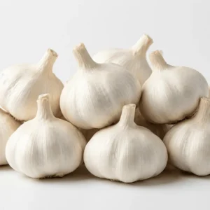fresh garlic