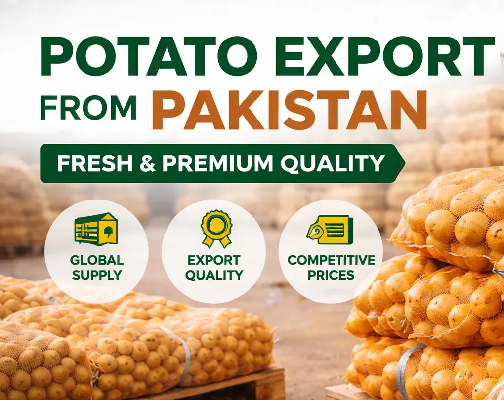 Potato Export from Pakistan