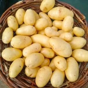 Fresh Potatoes From Attari & Co