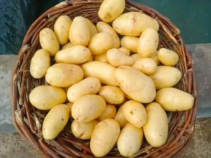 Fresh Potatoes From Attari & Co