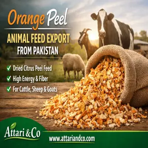 Orange Peel Animal Feed, attari and co